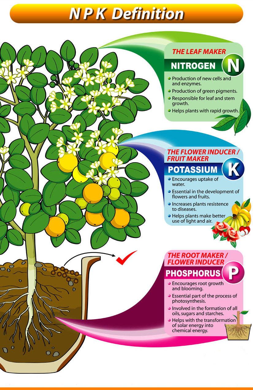 fertilising-101-archives-maintain-me